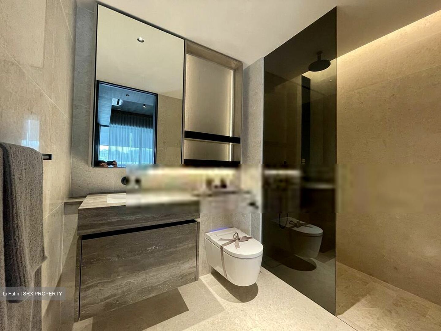 Harbourfront Avenue (D4), Condominium #598710521